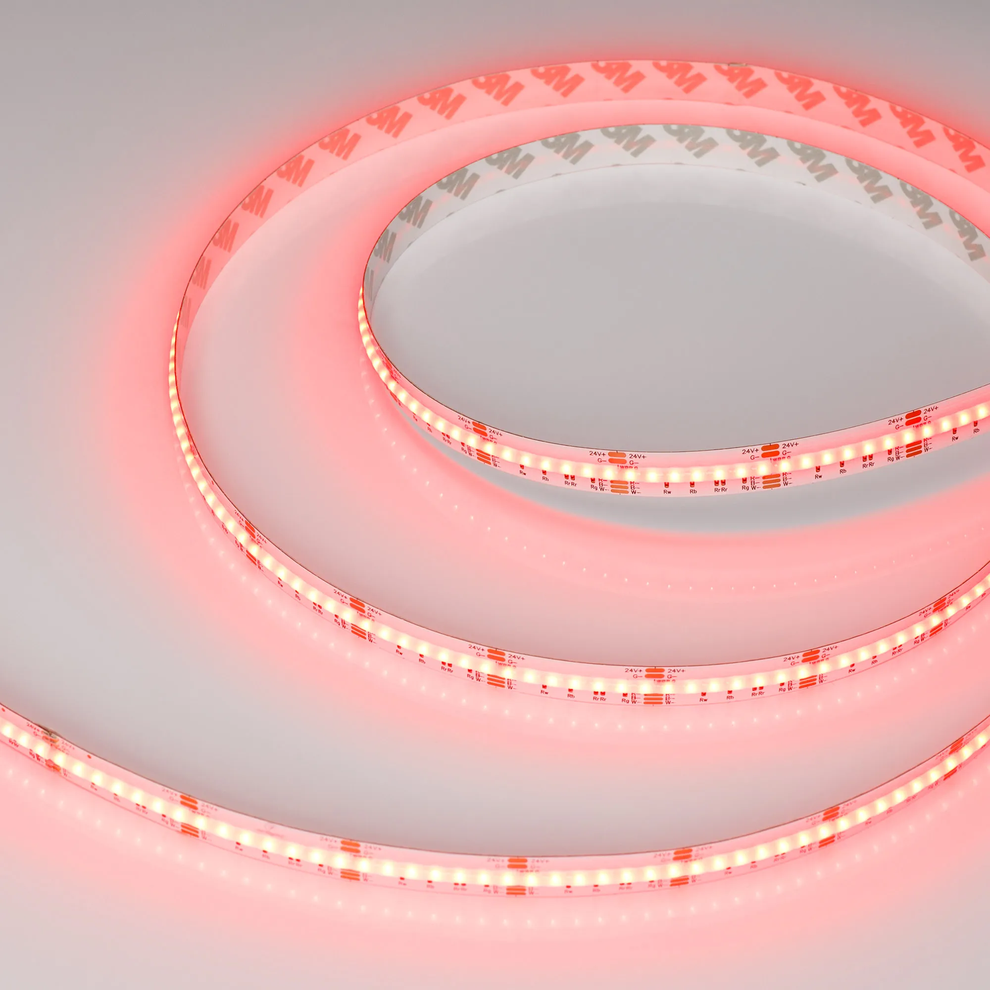 Лента светодиодная CSP-X840-12mm 24V RGBW-White (17.2 W/m, IP20, 5m) (Arlight, 5 лет) - изображение товара